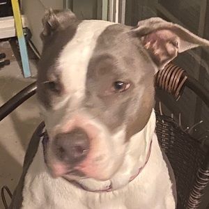 Meet your Posher, Miguel